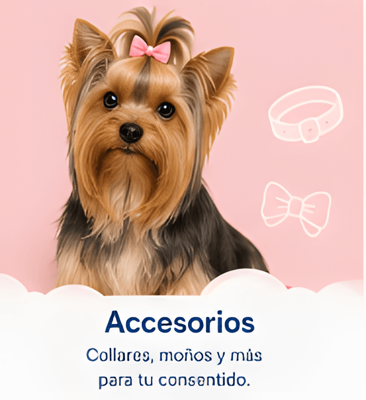 Accesorios — collares, moños y más para tu consentido