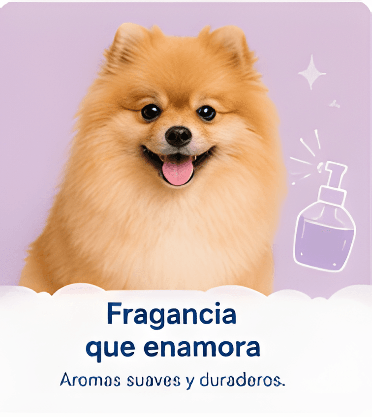 Fragancia que enamora — aromas suaves y duraderos