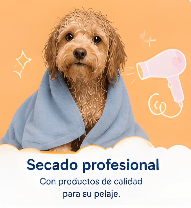 Secado profesional con productos de calidad para su pelaje
